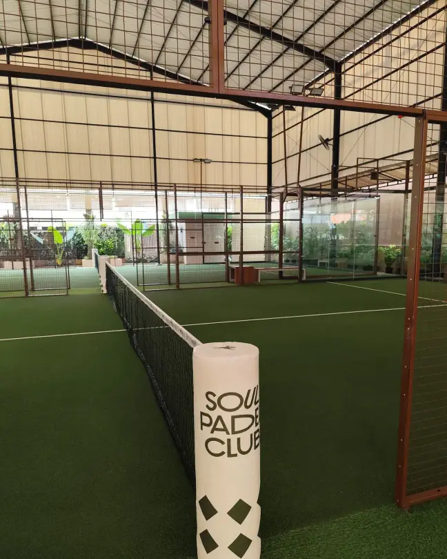 Green court with Soul net post