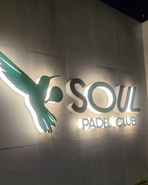 Lit Soul hummingbird logo